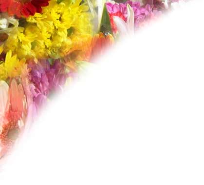 How well do your flowers grow?  Not as nice as they will when surrounded by an Artistic Waterways & Paving Creation!